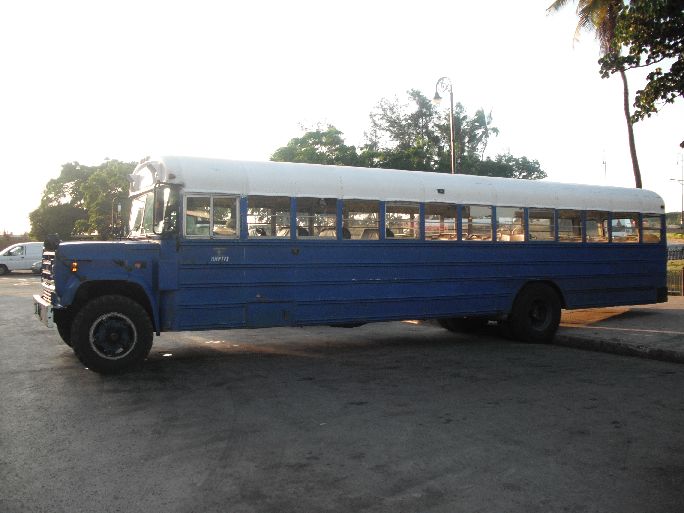 Schulbus