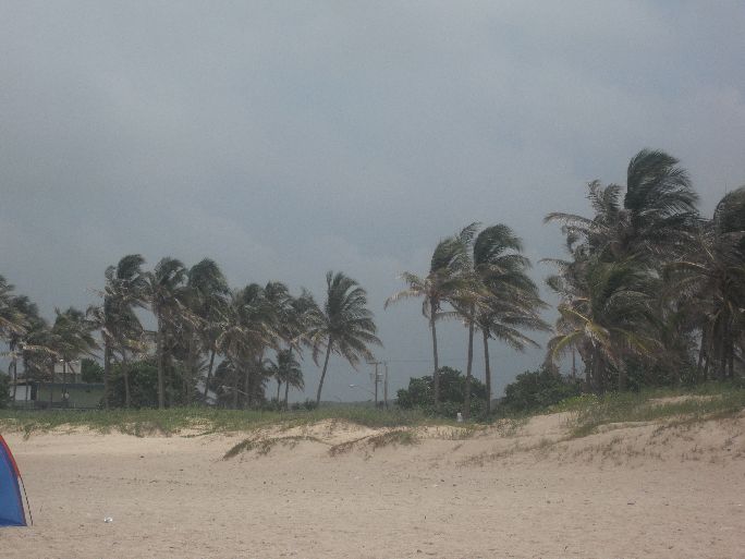 Karibischer Wind